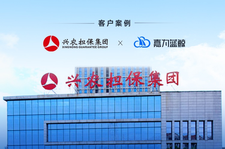 【重慶興農(nóng)擔(dān)保集團(tuán)】鍛造運維能力底座，精益信息化管理